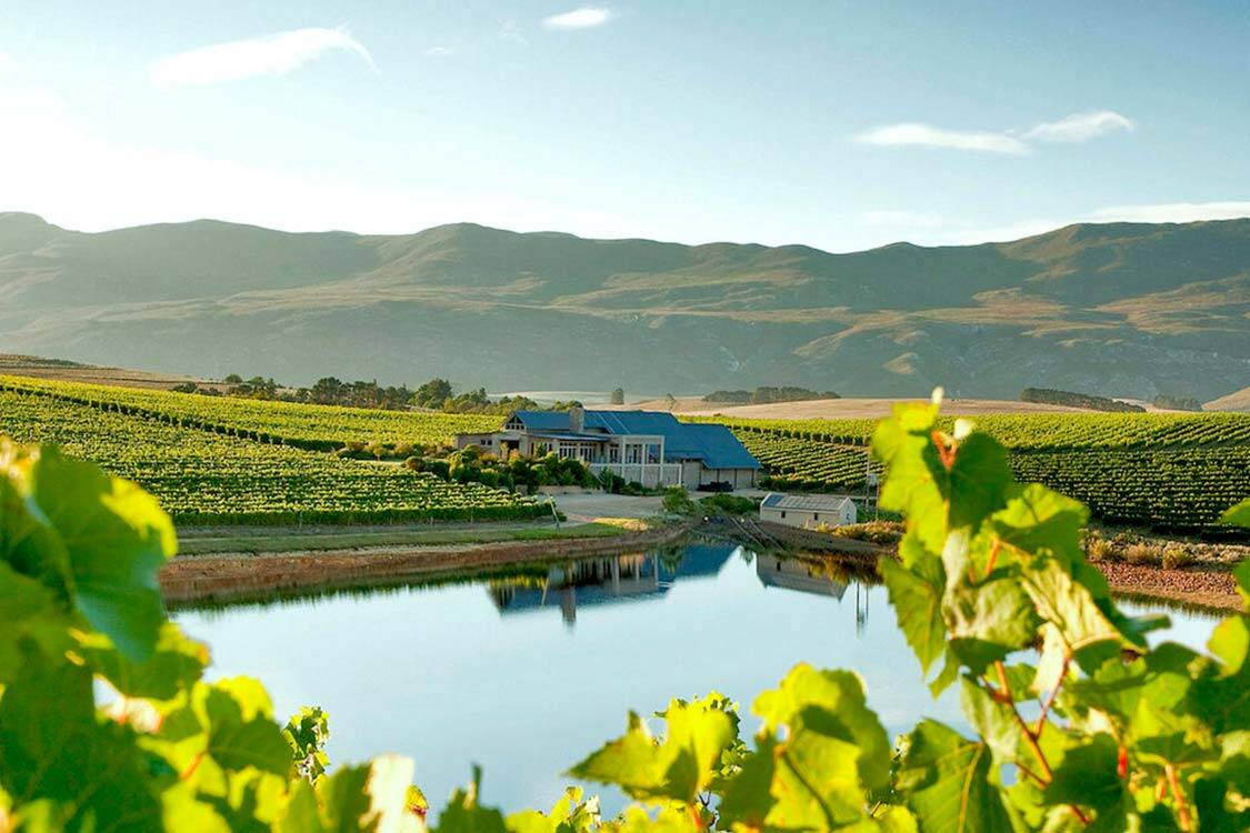 Hermanus Wine Tour