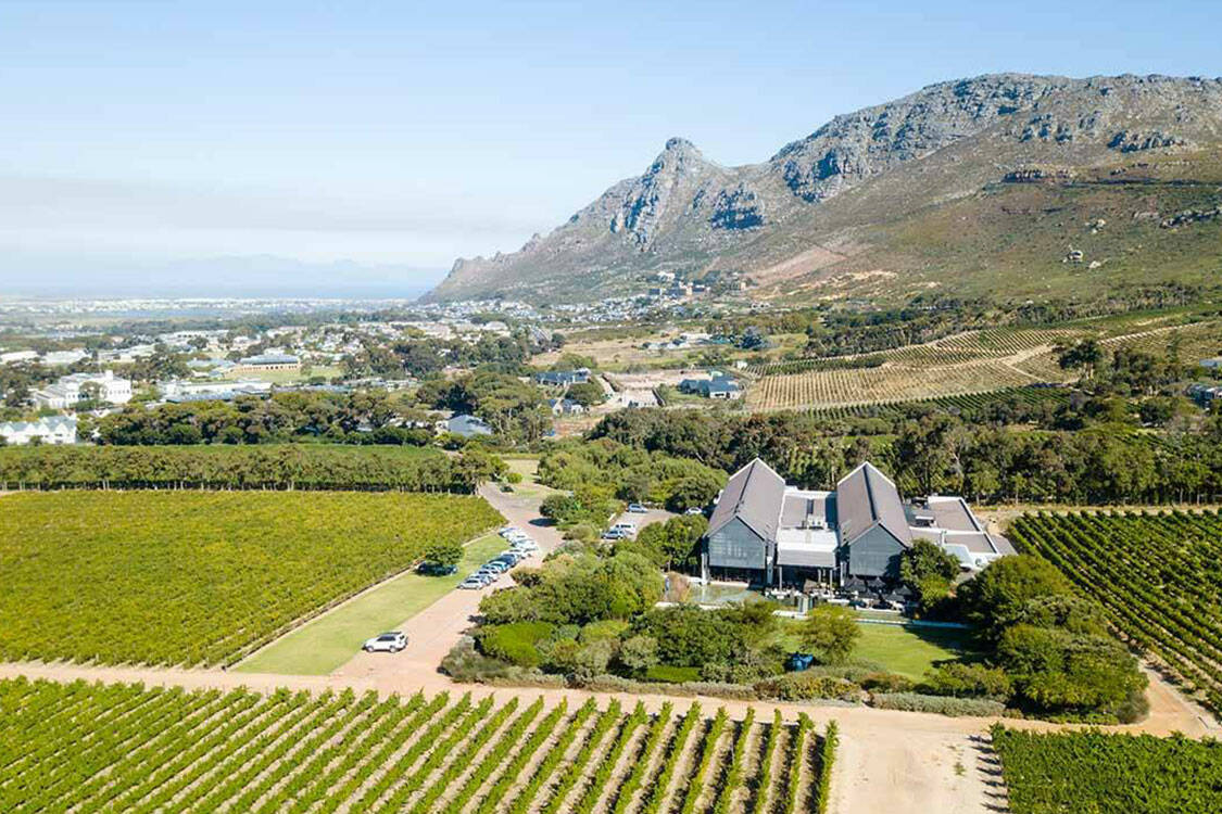 Best Wine Tasting Cape Town Full Day Tour