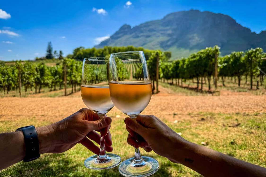 Wine Tasting Full Day Tour - Sharing